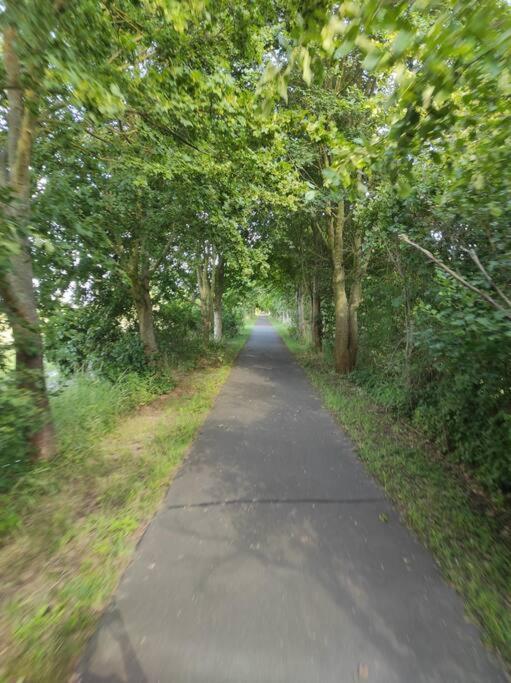 Storchennest - Ferienwohnung Am Storchenradweg Ketzur Экстерьер фото