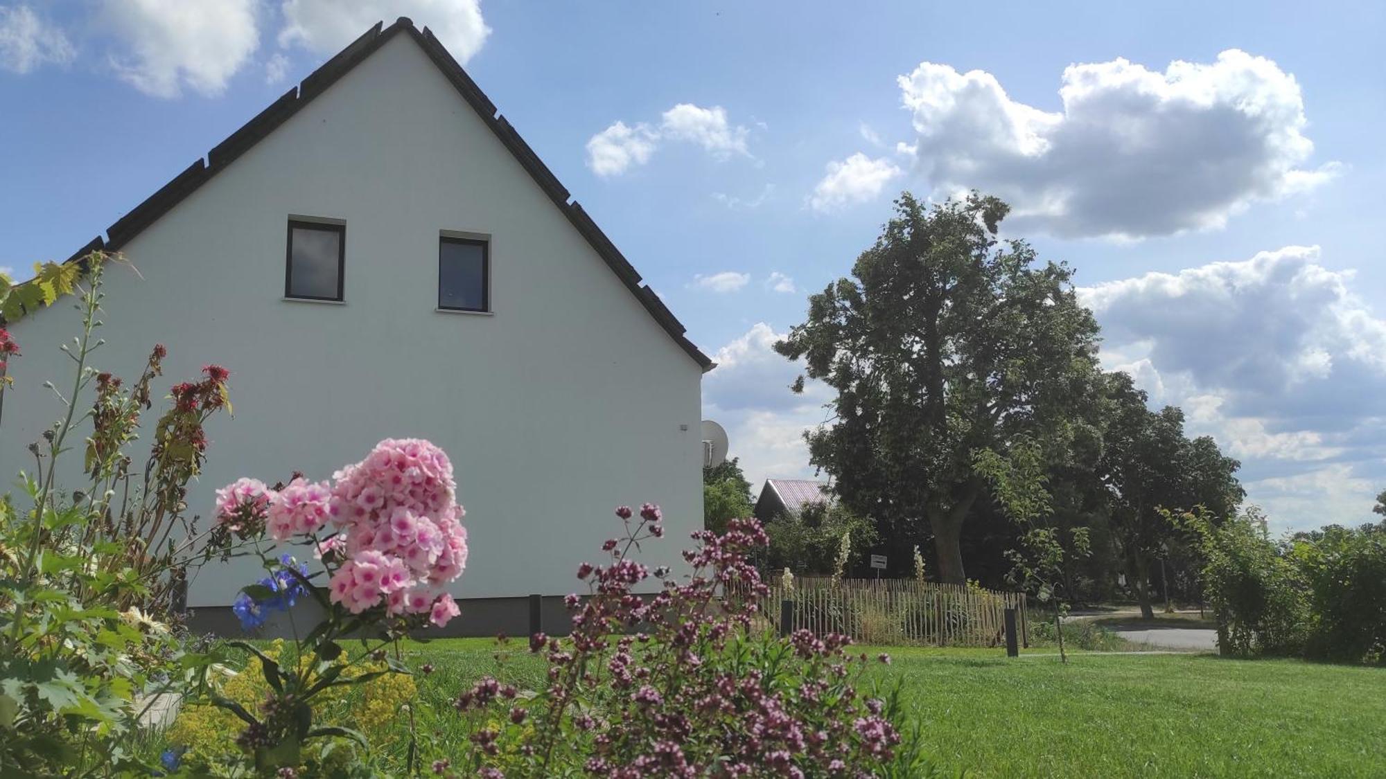 Storchennest - Ferienwohnung Am Storchenradweg Ketzur Экстерьер фото