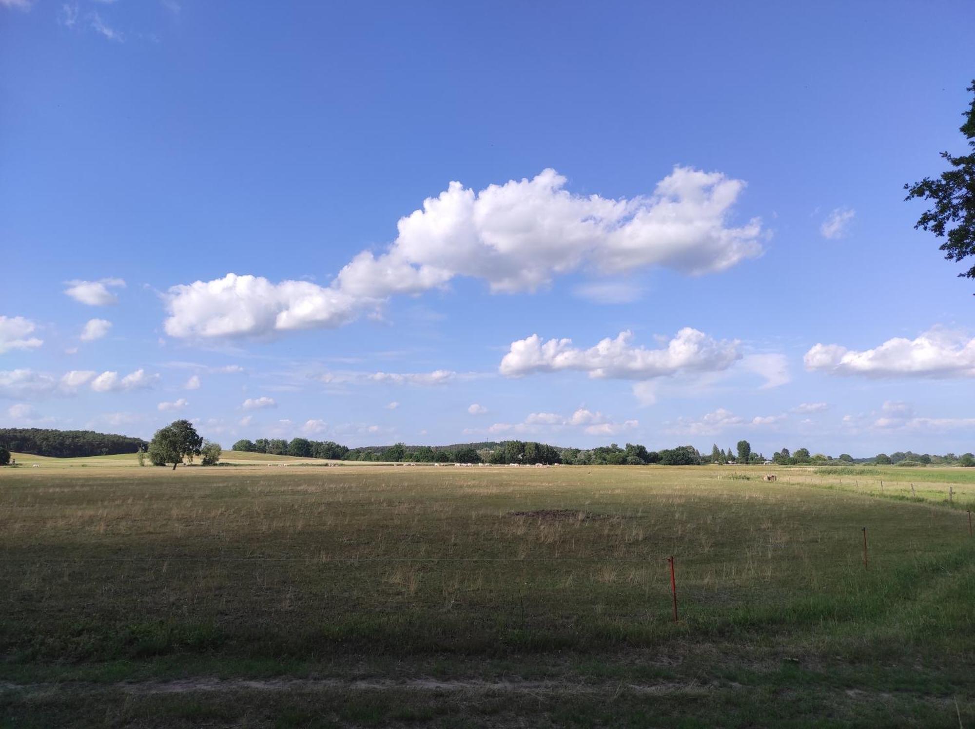 Storchennest - Ferienwohnung Am Storchenradweg Ketzur Экстерьер фото