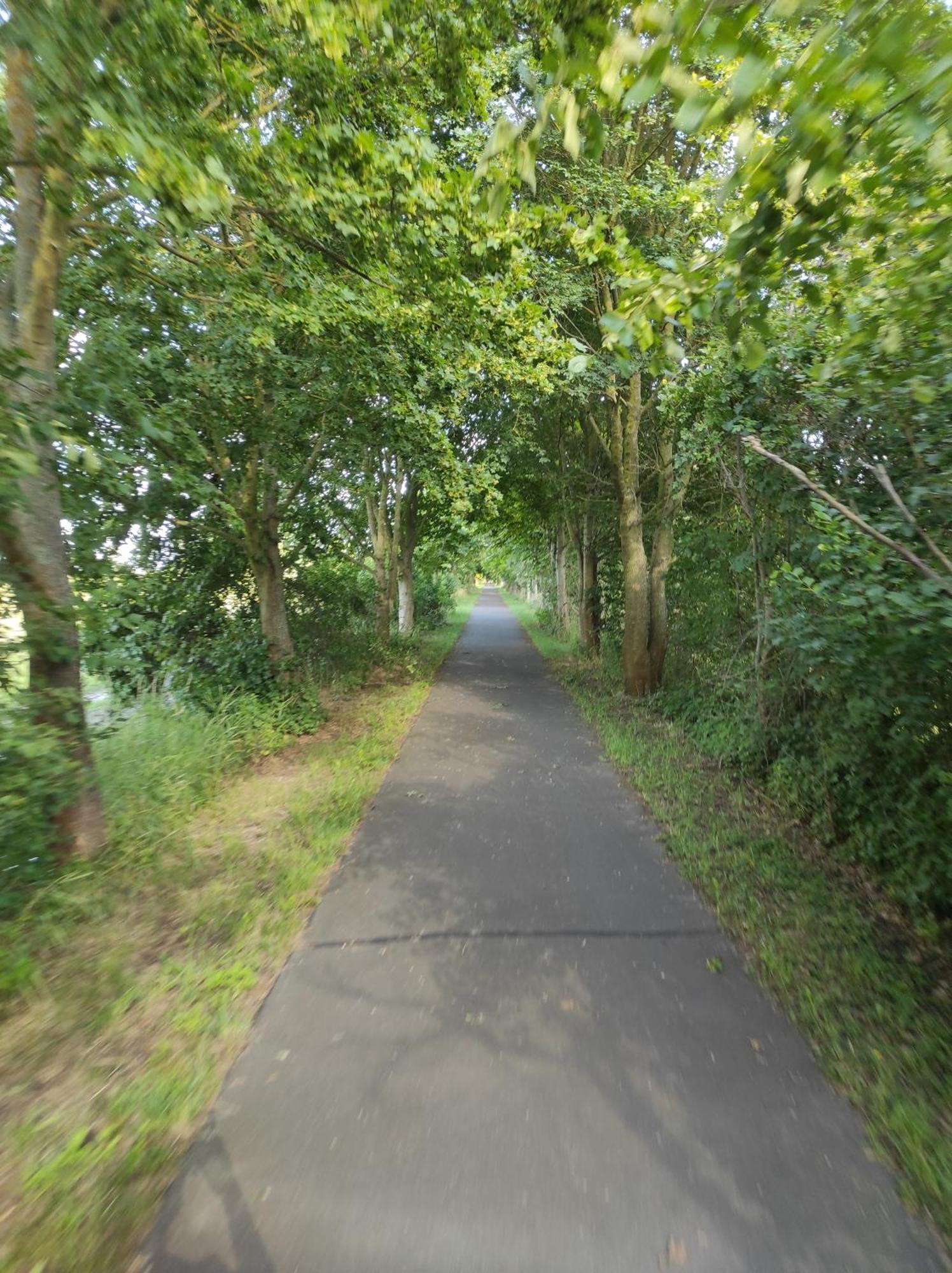 Storchennest - Ferienwohnung Am Storchenradweg Ketzur Экстерьер фото